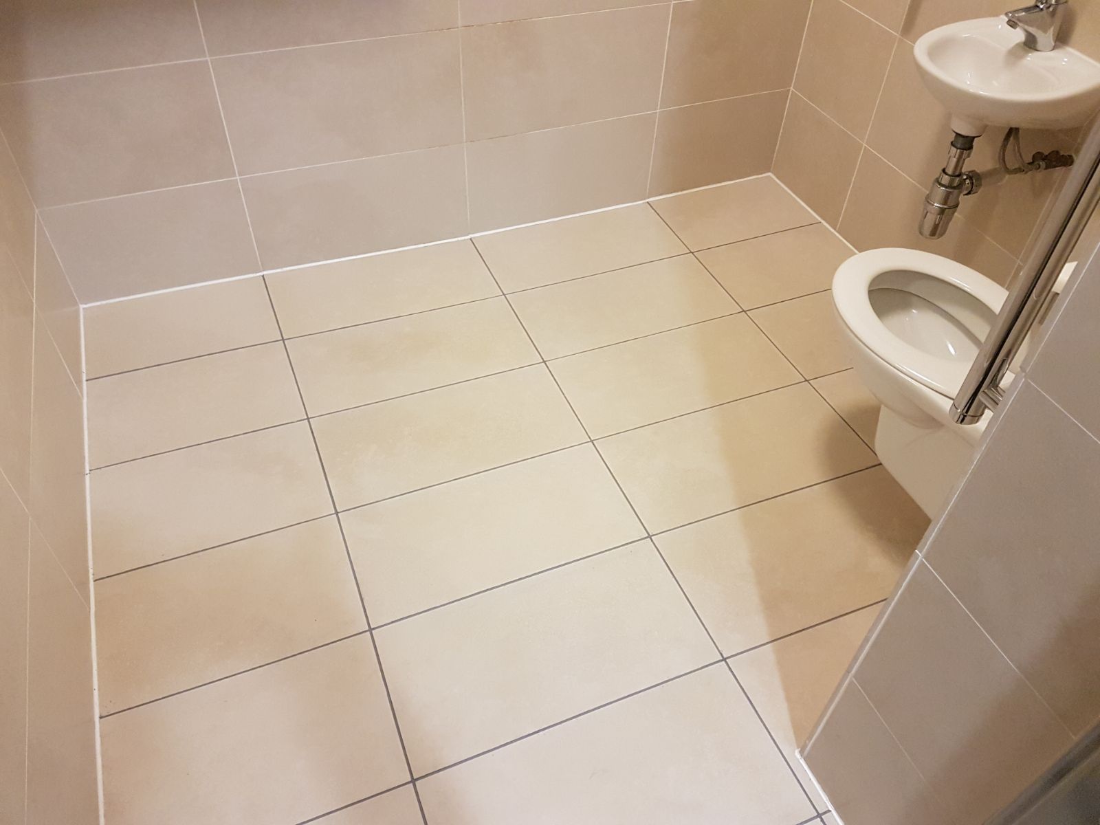 Commerical Porcelain Toilet floor Milton Keynes After Grout Colouring